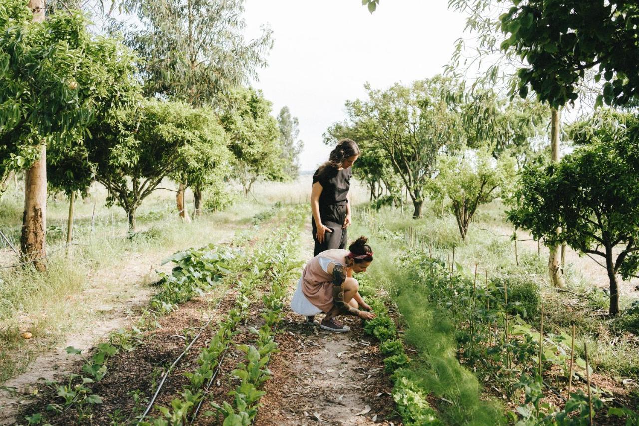 Villa Humus Farm Águas de Moura Esterno foto